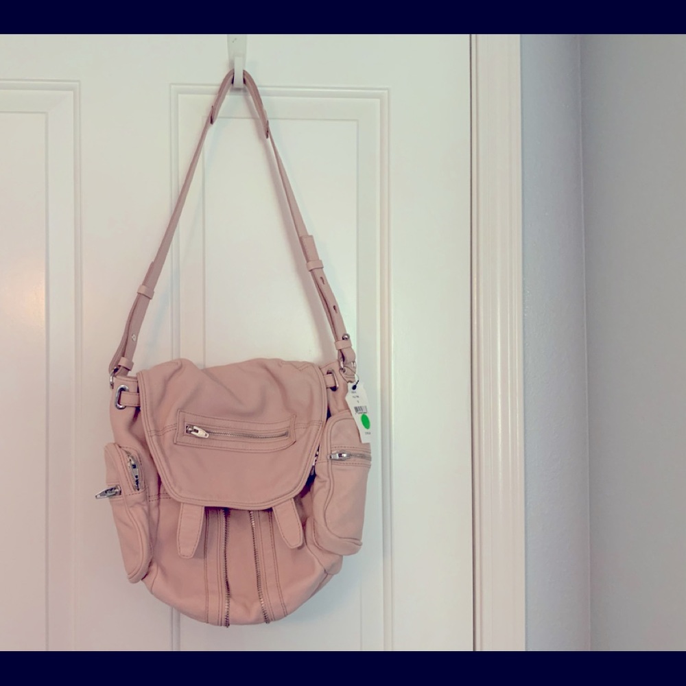 Alexander Wang Pale Pink Mini Marti